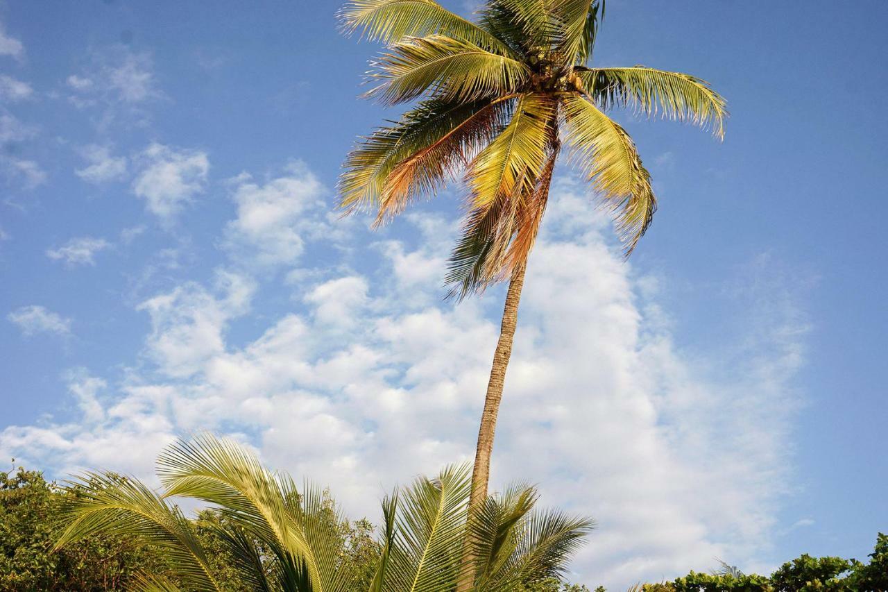 Villa Picasso Playa Santa Teresa  ภายนอก รูปภาพ